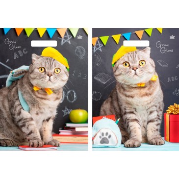 Мешок ПВД (выр.руч) 430*315, (50 мкр) Грэй Глосс Кот